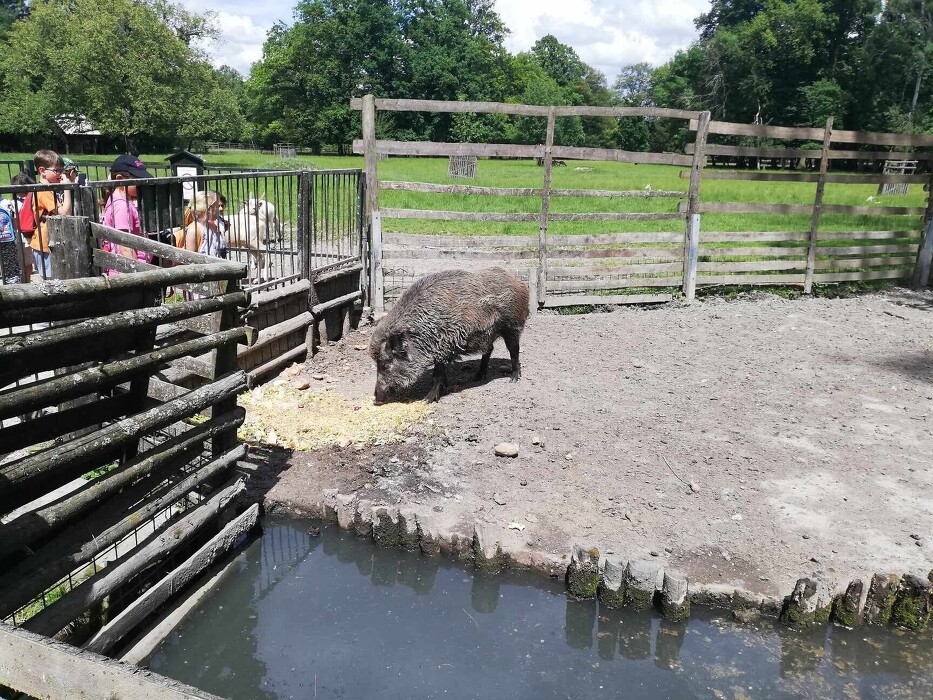 Výlet ŠD - Mini zoo Častolovice