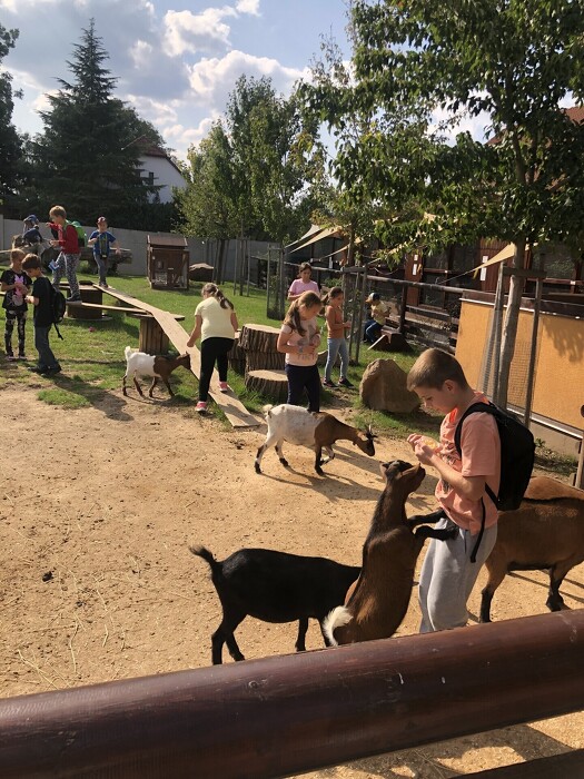 Zahajovací výlet ŠD - Mini zoo Bítovany