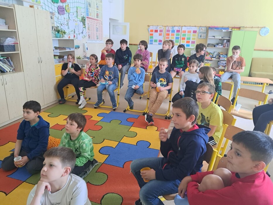 Kino v ŠD
