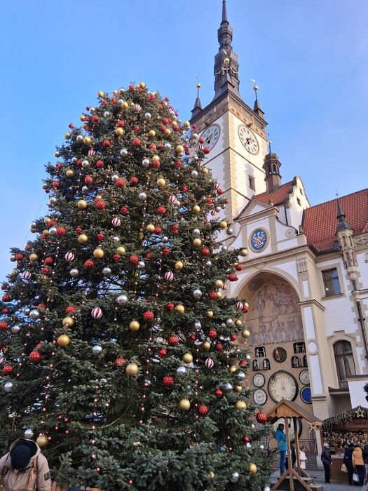Vánoční výlet 7. a 9. tř. do Olomouce