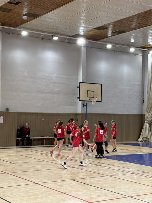 Basket dívky - okrskové kolo