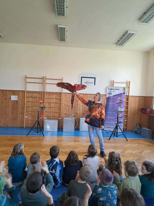 Papoušci ve školní družině