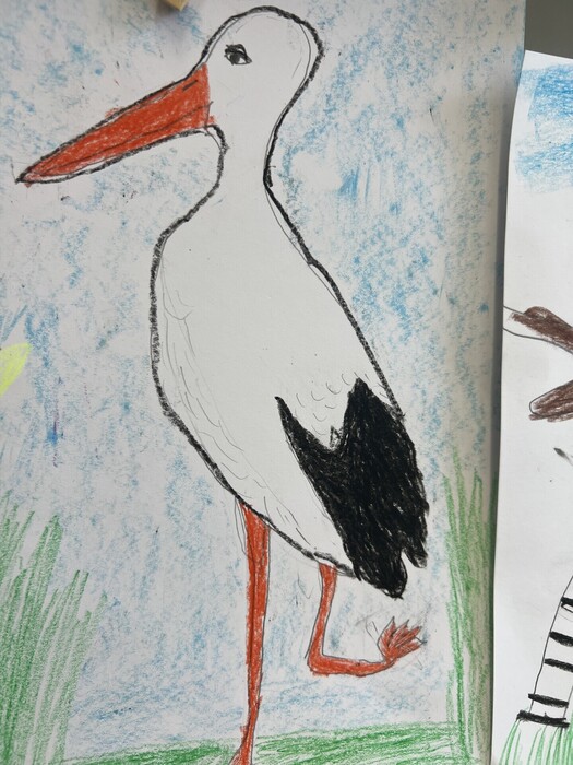 Výtvarná výchova v II.B